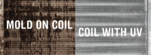 Indoor Air Quality
